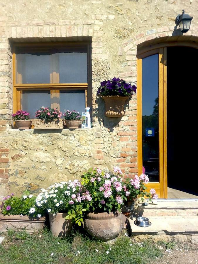 Casa Ollie Apartman Castel San Gimignano Kültér fotó
